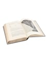 Ireland Industrial And Agricultural Articles on Brewing Industry & Distilling Industry - 1902 