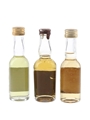 Chartreuse Green & Yellow  3 x 3cl / 47.5%