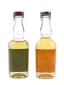 Chartreuse Green & Yellow  2 x 3cl / 48.8%