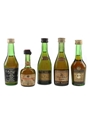 Assorted Cognac  5 x 5cl