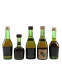 Assorted Cognac  5 x 5cl