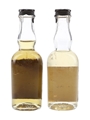 Chartreuse Green & Yellow  2 x 3cl / 48.8%