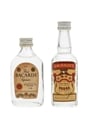 Smirnoff Vodka & Bacardi Carta Blanca Rum  2 x 5cl / 37.5%
