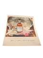Old Forester Advertisement Print 1949 - Nothing Better in the Market 24cm x 33cm