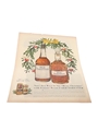 Old Forester Advertisement Print 1950 - Merry Christmas 26cm x 36cm