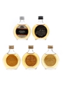 Blended Scotch Whisky Miniatures Round Bottles 5 x 5cl / 40%