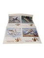 Chivas Regal Whisky Printed Advertisements 1961 - 1962 4 x 25cm x 36cm