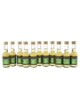 Chartreuse Green  11 x 3cl / 55%