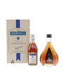 Assorted Cognac Martell Cordon Bleu & Hine XO 2 x 5cl / 40%