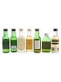 Assorted Islay Whisky Ardbeg, Bowmore, Laphroaig, Lagavulin, Lochindaal & Port Askaig 7 x 5cl