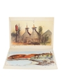 Assorted Prints  2 x 44cm x 56cm