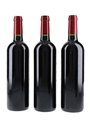 2009 Chateau Barrail Du Blanc  3 x 75cl / 12.5%