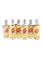 Brookie's Shirl The Pearl Cumquat Gin 2020 Harvest 6 x 70cl / 37.7%