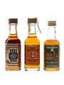 Assorted Kentucky Straight Bourbon & Rye Bottled 1980s - Old Grand-dad, Wild Turkey 3 x 5cl