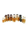 Assorted Single Malt Scotch Whisky  11 x 5cl
