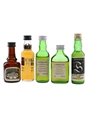 Assorted Single Malts Bottled 1980s - Bowmore, Highland Park, Laphroaig & Springbank 5 x 5cl