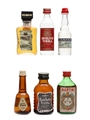 Assorted Spirits & Liqueurs Disaronno, Martini, Campari, Borzoi, Hardy's 6 x 4cl - 5cl