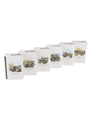 Rutherford's Ceramic Decanter Montrose Potteries 6 x 5cl / 40%