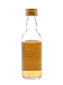 Port Ellen 1969 Connoisseurs Choice Bottled 1980s - Gordon & MacPhail 5cl / 40%
