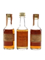 Wild Turkey 8 Year Old 101 Proof Bottled 1970s-1980s 3 x 5cl / 50.5%
