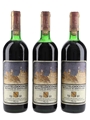 1981 Brunello Di Montalcino Castelgiocondo 3 x 75cl / 13%