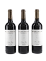 2015 Marques De Murrieta Gran Reserva Rioja Finca Ygay 3 x 75cl / 14%