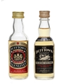 Dufftown Glenlivet 8 Year Old 2 x 5cl / 40%