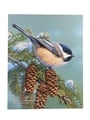 Badger Jim Beam Bottle Club 40th Anniversary Chickadee In The Spruce - Frank Mittelstadt Nature Art 