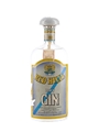 Red Hills Dry Gin Bottled 1960s - Buton 75cl / 45%