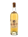 Contratto Acqua Vite Extra Bottled 1950s 99.6cl / 43%