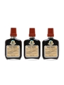 Fernet Branca 3 x 10cl