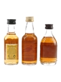 Assorted Kentucky Straight Bourbon Four Roses, Wild Turkey 1855 Reserve & Wild Turkey 101 Proof  8 Year Old - Bottled 1990s 3 x 5cl
