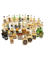 Assorted Blended Scotch Whisky  43 x 5cl