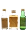 Assorted Single Malt Scotch Whisky Clynelish, Dailuaine 12 & Glenlivet 18 3 x 5cl