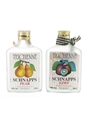 Teichenné Schnapps Kiwi & Pear 2 x 20cl / 20%