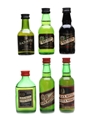 Black Bottle  6 x 5cl