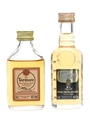 Tormore 10 Year Old 2 x 5cl