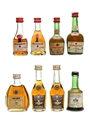 Assorted Cognac Courvoisier, Martell, Bisquit, Hine 8 x 5cl