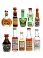 Assorted Liqueurs Irish Mist, Amaretto, Bols 10 x 3cl - 5cl