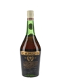 Camus Celebration Bottled 1960s - La Grande Marque Cognac 70cl / 40%