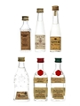 Assorted Eaux-de-Vie Schladerer, Poire Williams 6 x 3cl - 5cl
