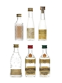 Assorted Eaux-de-Vie Schladerer, Poire Williams 6 x 3cl - 5cl