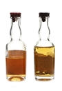 Chartreuse Green & Yellow  2 x 3cl - 5cl