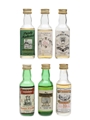 Blended Scotch Whisky 10 Year Old  6 x 5cl