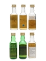 Blended Scotch Whisky 10 Year Old  6 x 5cl