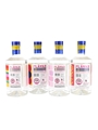 Flavar Schnapps Blueberry & Lemon, Lemon Pie, Strawberry & Lime and Raspberry & Liquorice 4 x 70cl / 25%