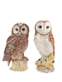 Beneagles Tawny Owl Decanter Whyte & Mackay's Bottled 1980s - Royal Doulton 2 x 20cl / 40%