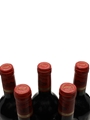 1995 Chateau Pedesclaux Grand Cru Classe 5 x 75cl / 12.5%