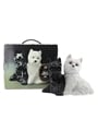 Black & White 12 Year Old Premium Wade Ceramic Decanter 75cl / 43%