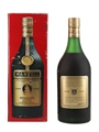 Martell Medallion VSOP Cognac Bottled 1970s 68.1cl / 40%